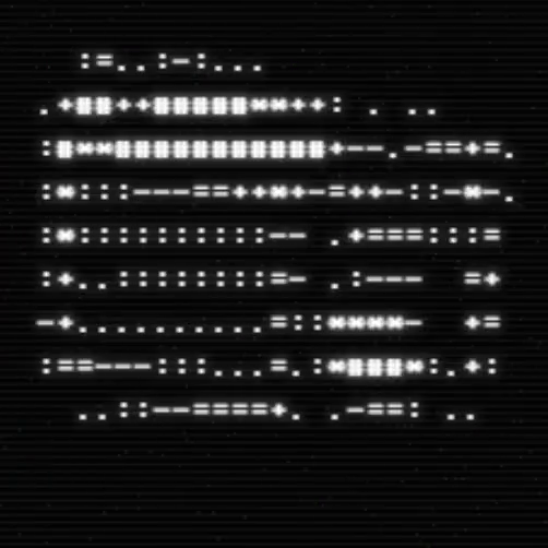 A Spinning ASCII Camera